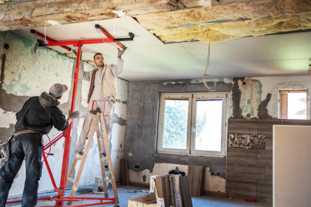 Best Insulation Maintenance and Repair in Haskell, TX